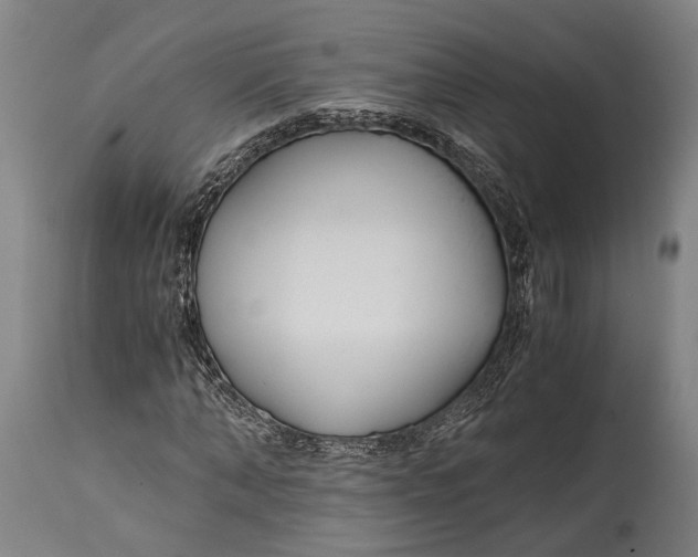 X0000114600870200911161351