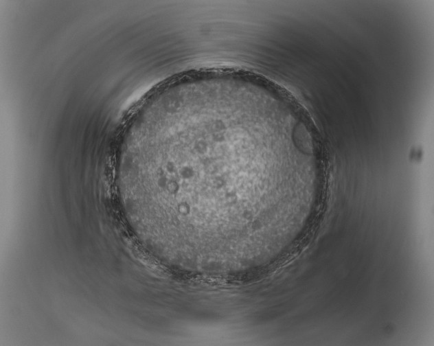 X0000114600871200911161351