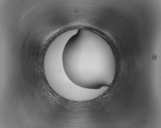 X0000114600872200911161351