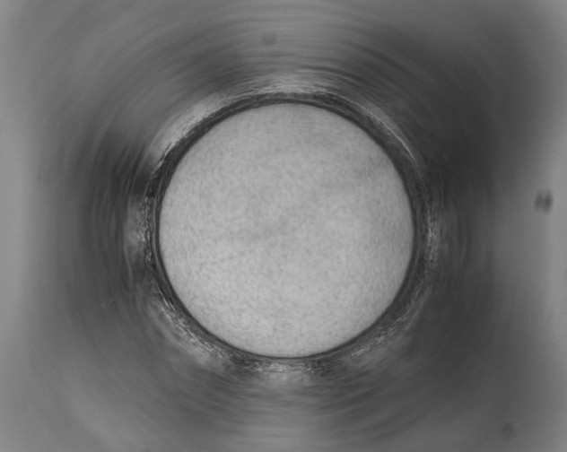 X0000114600874200911161351