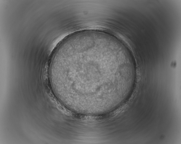 X0000114600875200911161351