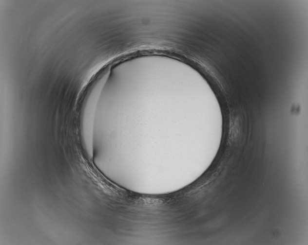 X0000114600878200911161351