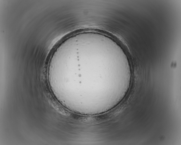 X0000114600879200911161351