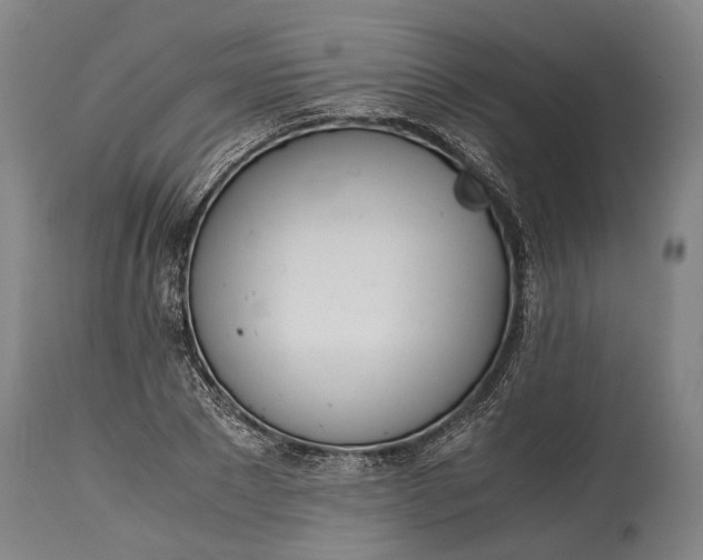 X0000114600881200911161351