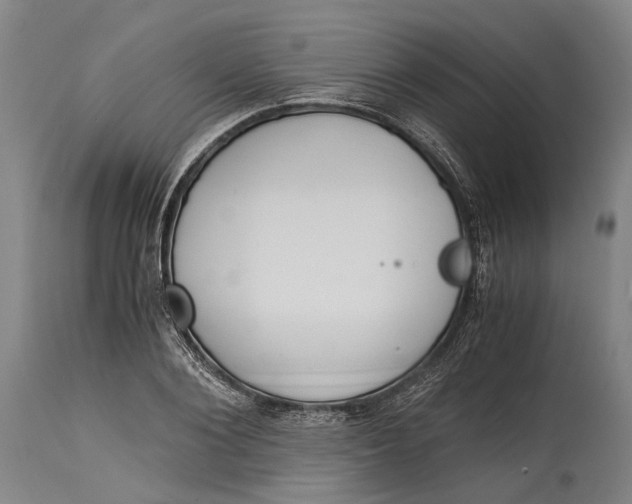 X0000114600884200911161351