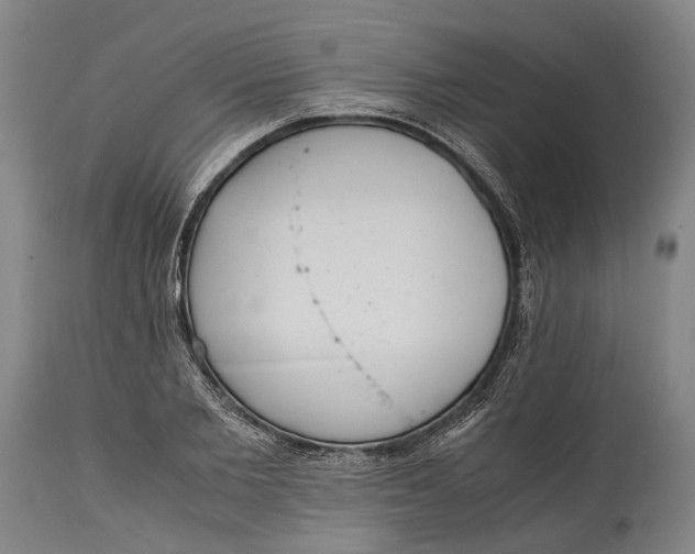 X0000114600885200911161351