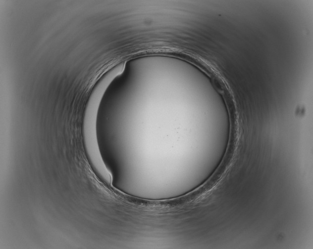 X0000114600889200911161351