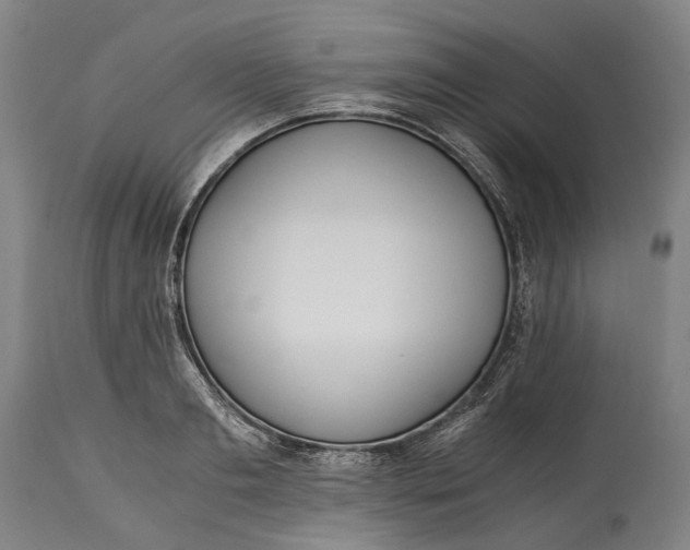 X0000114600893200911161351