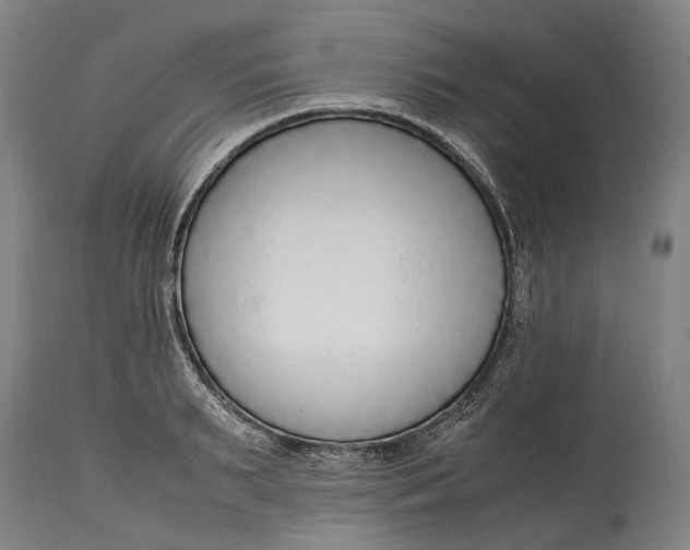 X0000114600895200911161351