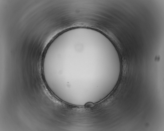 X0000114600896200911161351