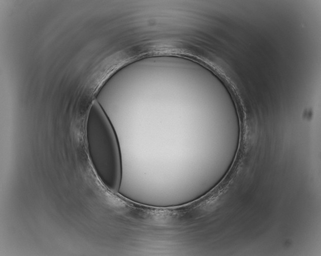 X0000114600897200911161351