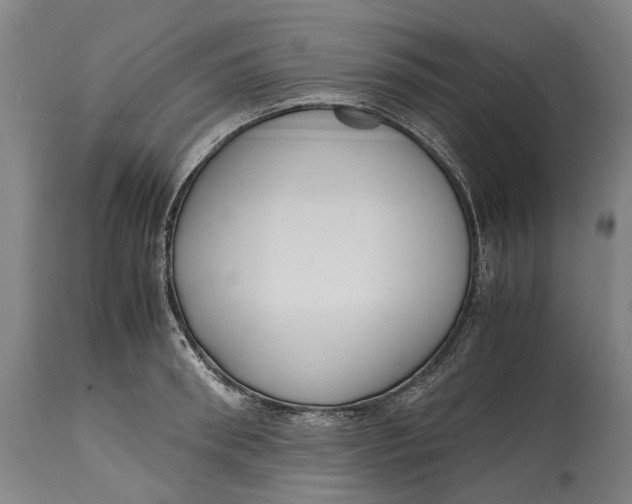 X0000114600898200911161351