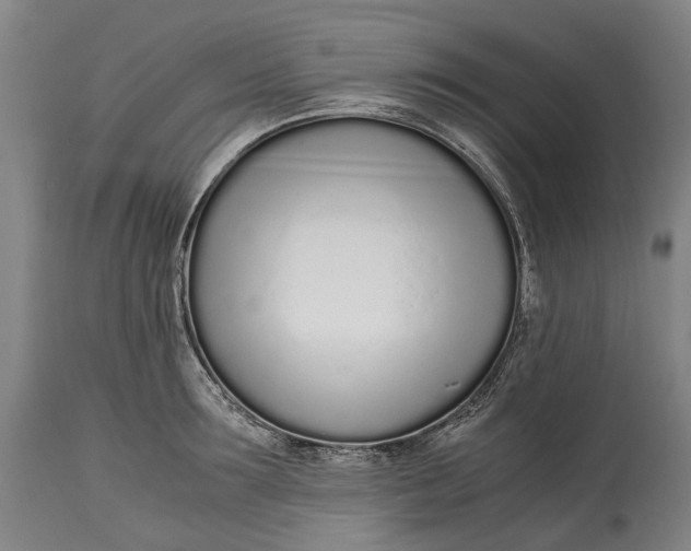 X0000114600899200911161351