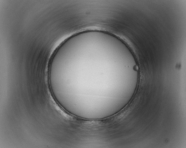 X0000114600902200911161351