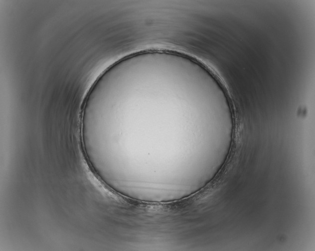 X0000114600903200911161351