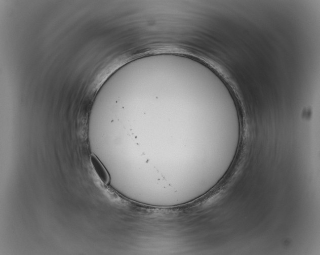 X0000114600905200911161351