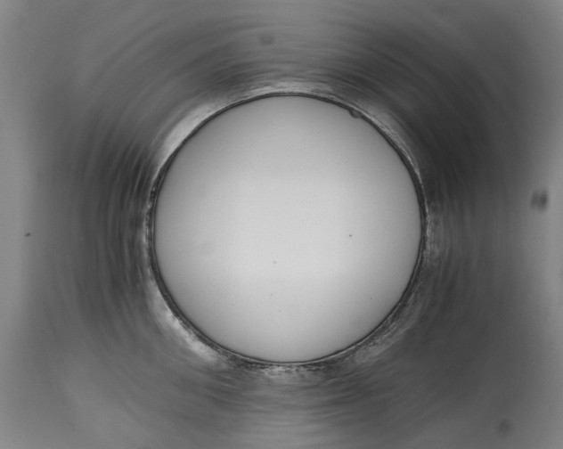 X0000114600906200911161351