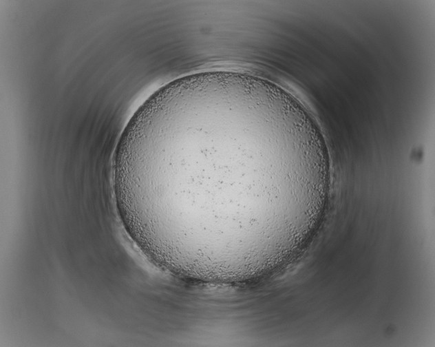 X0000114600907200911161351