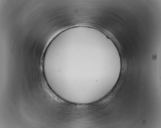 X0000114600908200911161351