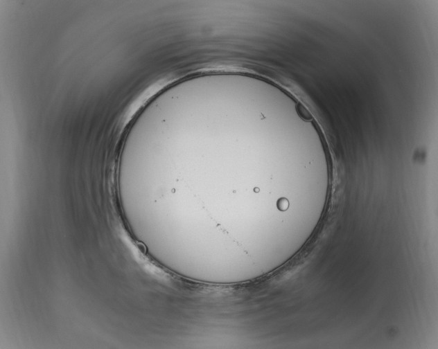 X0000114600909200911161351