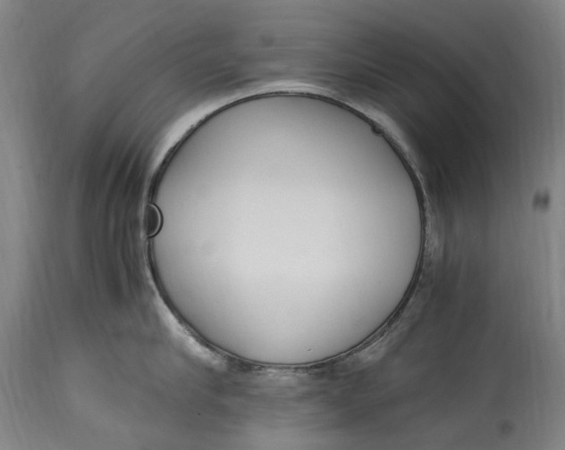 X0000114600910200911161351