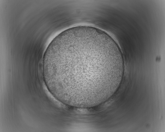 X0000114600911200911161351