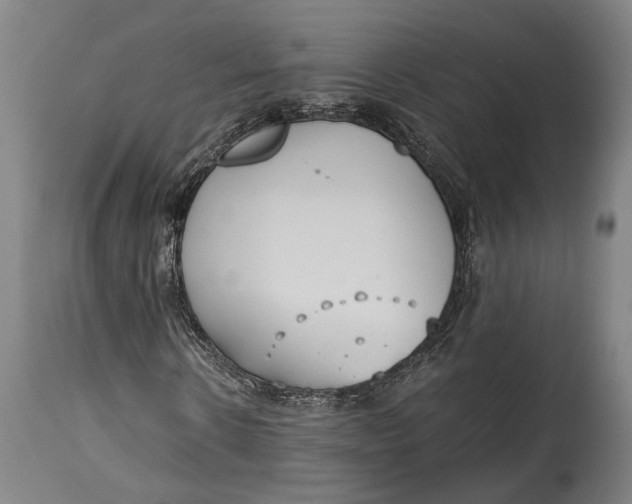 X0000114600914200911161350