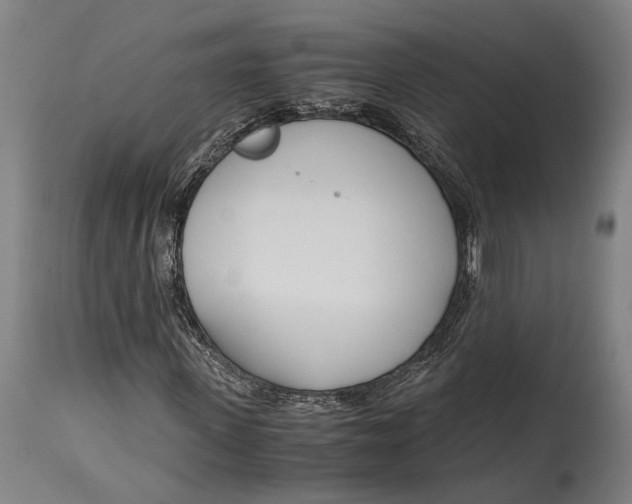 X0000114600915200911161350