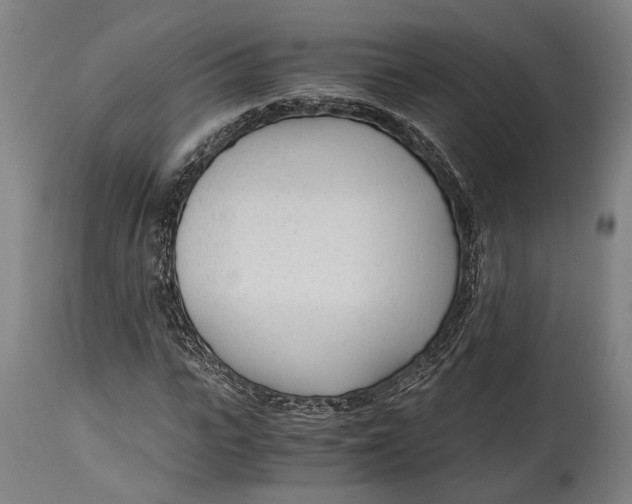 X0000114600919200911161350