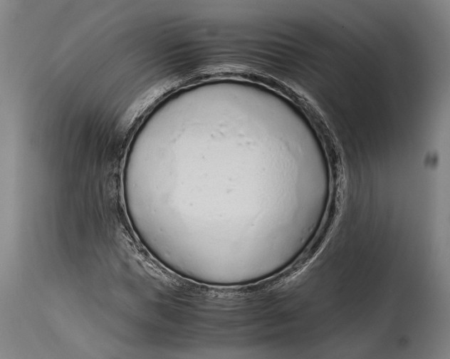 X0000114600921200911161350