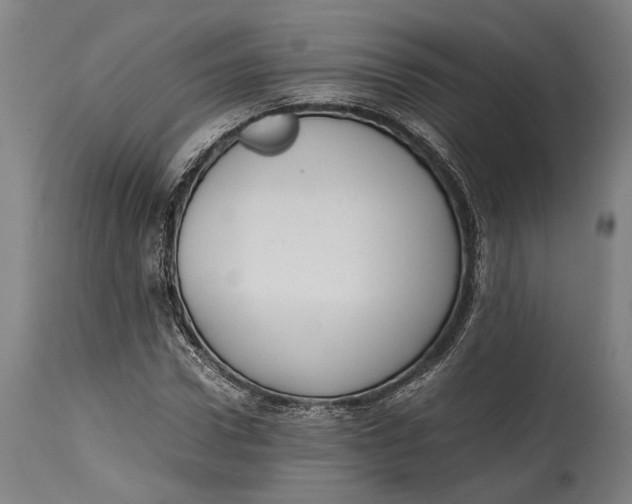 X0000114600922200911161350