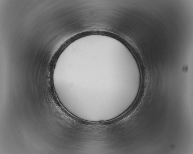 X0000114600926200911161350