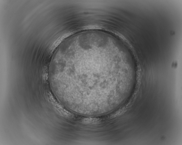 X0000114600929200911161350