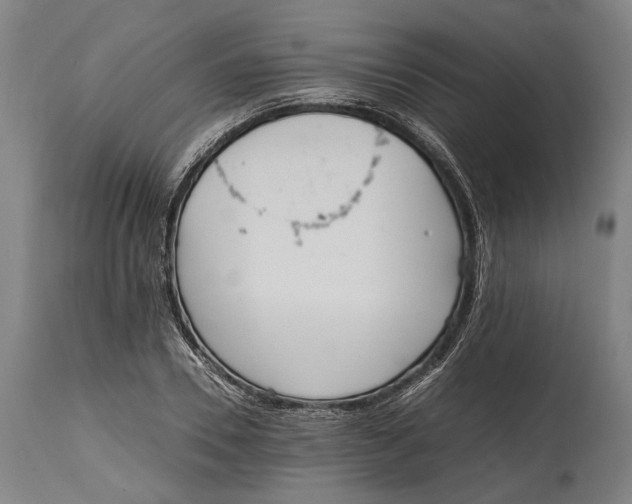 X0000114600930200911161350