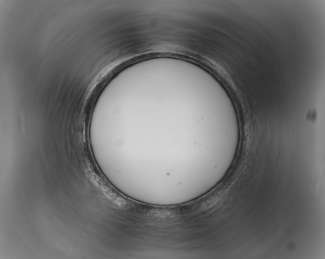 X0000114600931200911161350