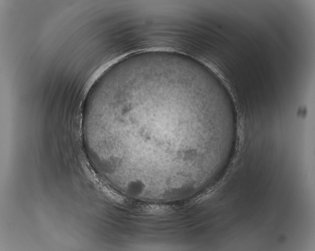 X0000114600933200911161350