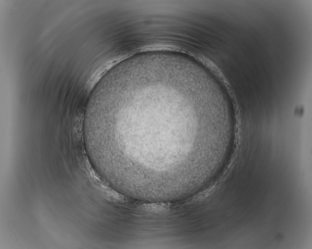 X0000114600937200911161350