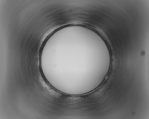 X0000114600939200911161350