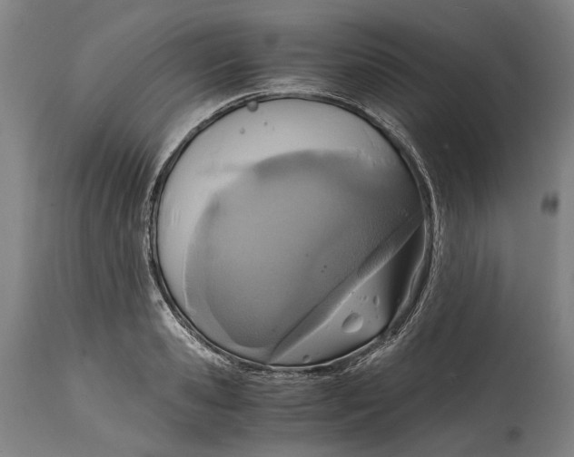 X0000114600941200911161350