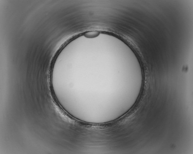 X0000114600942200911161350