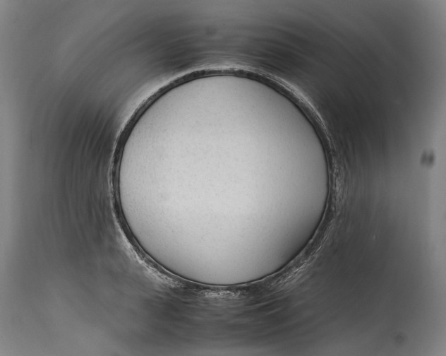 X0000114600943200911161350