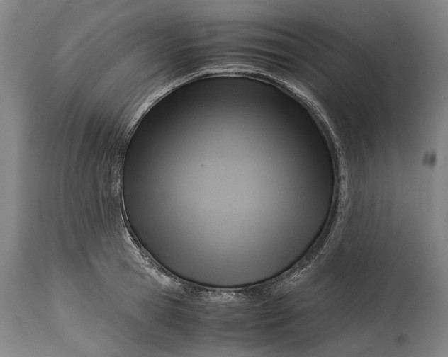 X0000114600945200911161350