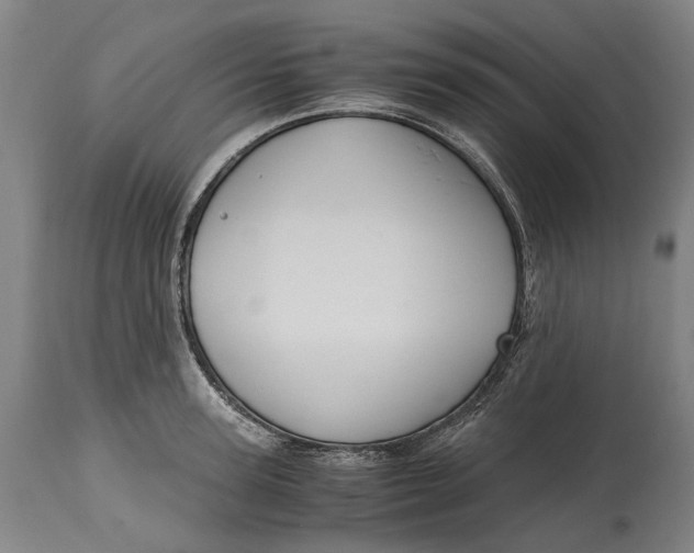 X0000114600947200911161351