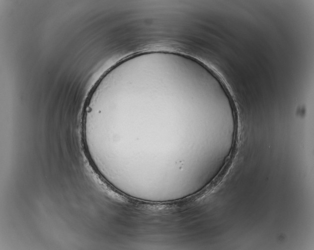 X0000114600949200911161351