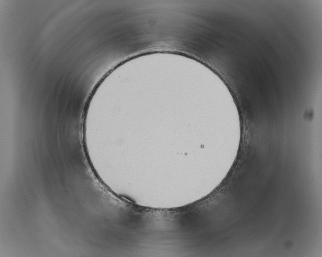 X0000114600950200911161351