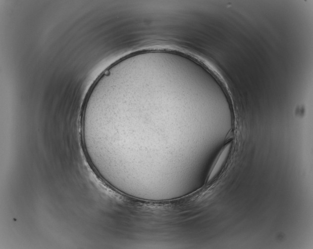 X0000114600951200911161351