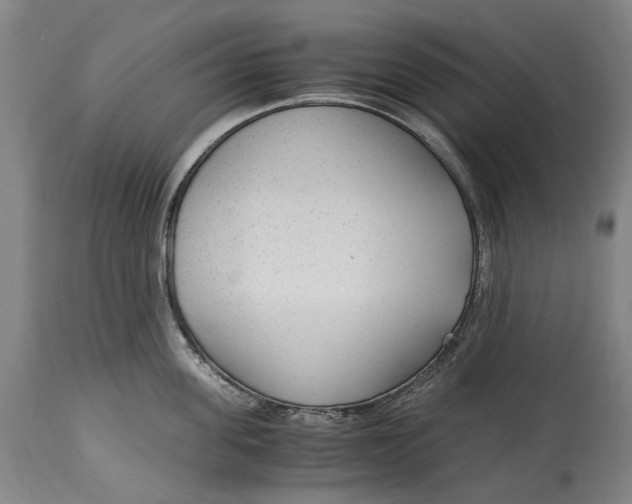 X0000114600955200911161351