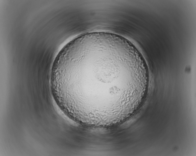 X0000114600957200911161351