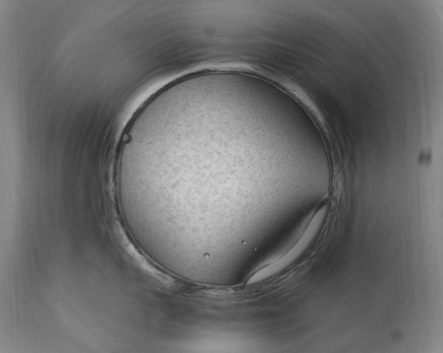 X0000114600959200911161351