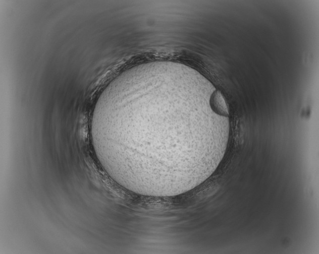 X0000114600962200911161350